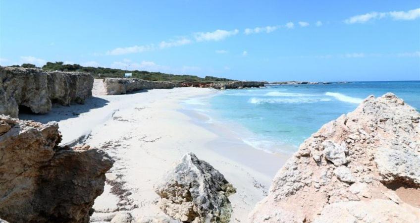 Villa Ada Casa Vacanze Torre Specchia Ruggeri Eksteriør billede